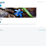 joomla_no_content.png