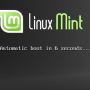 mint_install_automatic_boot.png