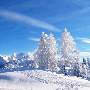 winter.gif