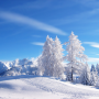 winter.png