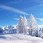 winter_70.jpg